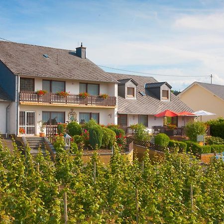 Pension Und Weingut Moselblick 布劳讷贝格 外观 照片