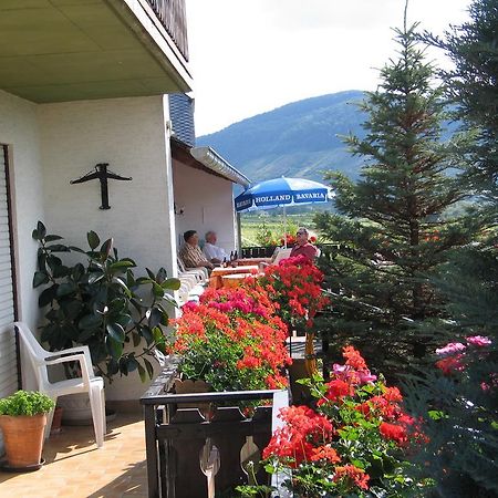 Pension Und Weingut Moselblick 布劳讷贝格 外观 照片