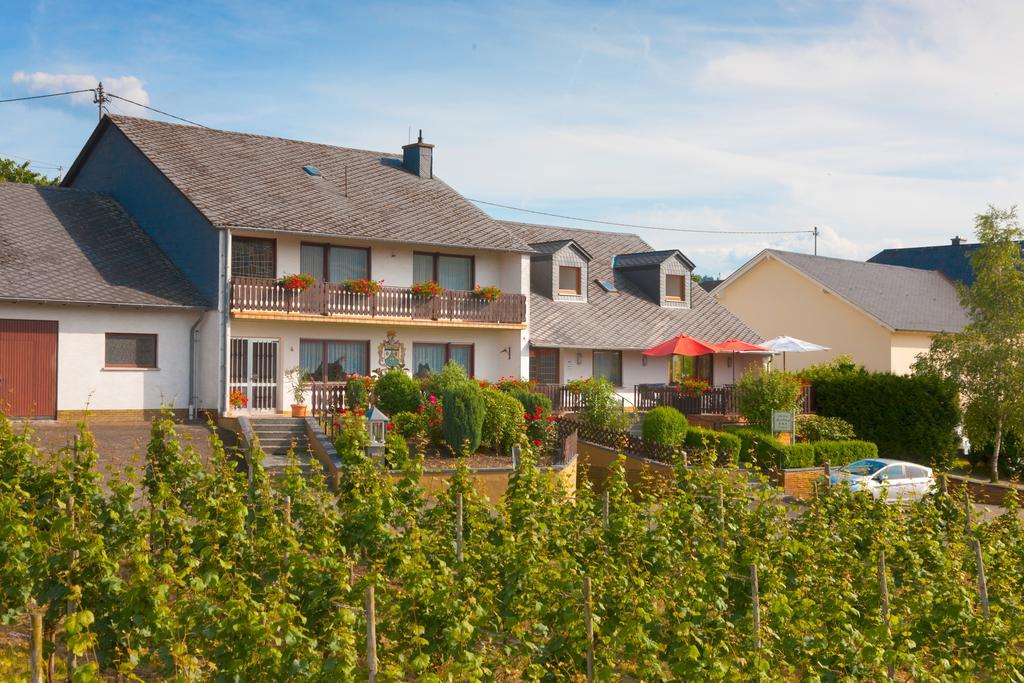 Pension Und Weingut Moselblick 布劳讷贝格 外观 照片