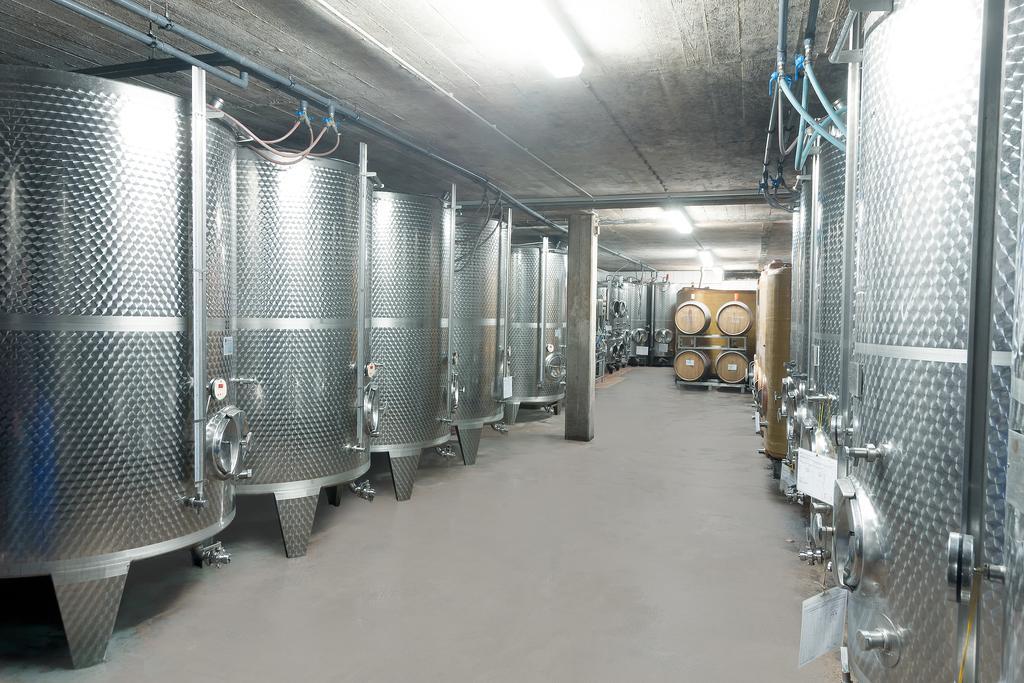 Pension Und Weingut Moselblick 布劳讷贝格 外观 照片