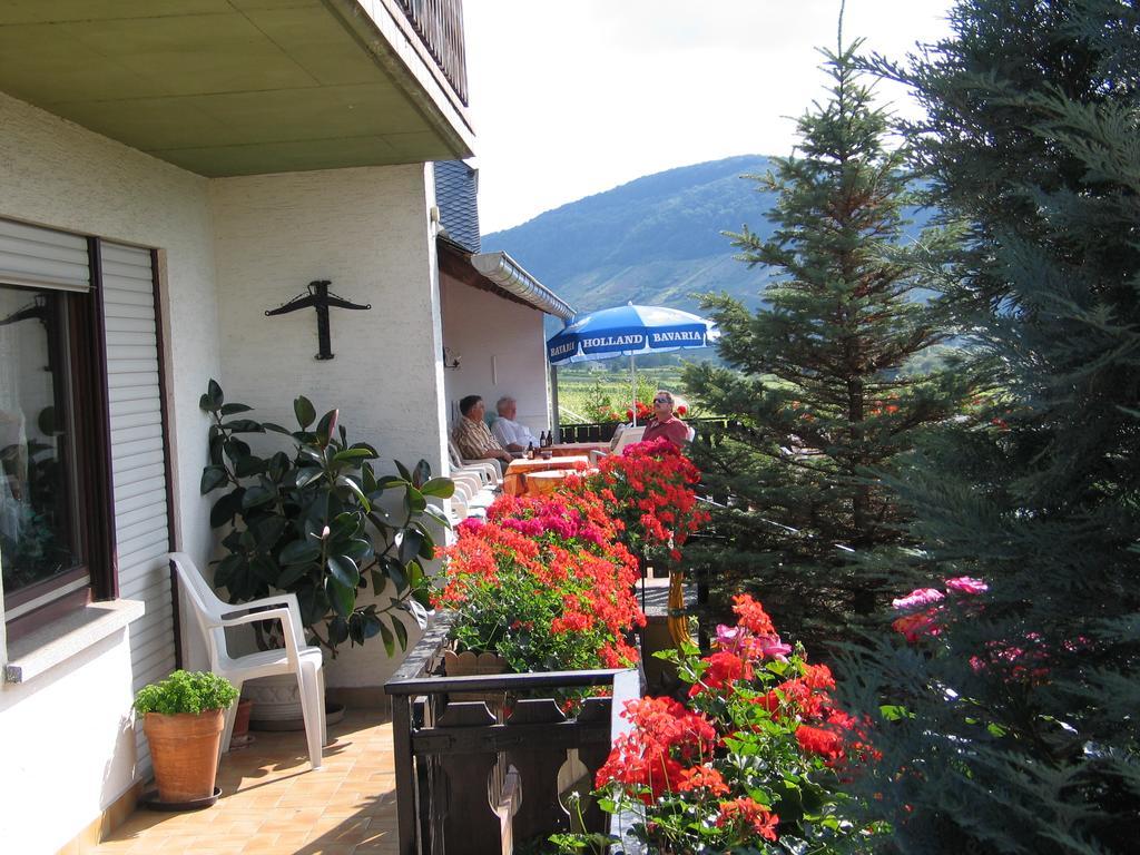 Pension Und Weingut Moselblick 布劳讷贝格 外观 照片