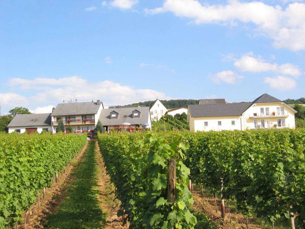 Pension Und Weingut Moselblick 布劳讷贝格 外观 照片